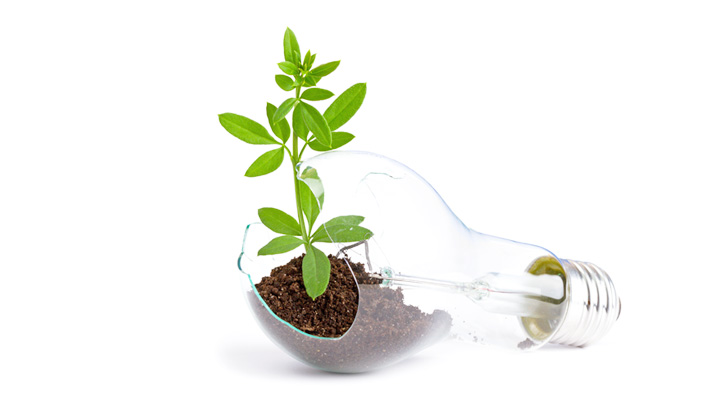 sustentabilidade